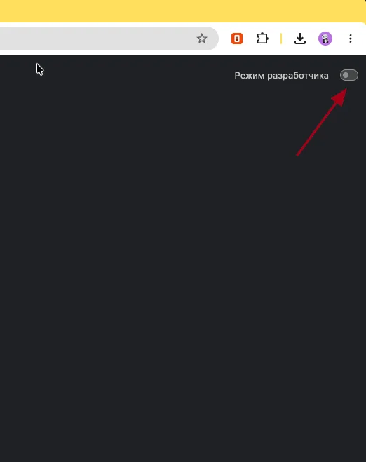 Переключатель Режим разработчика