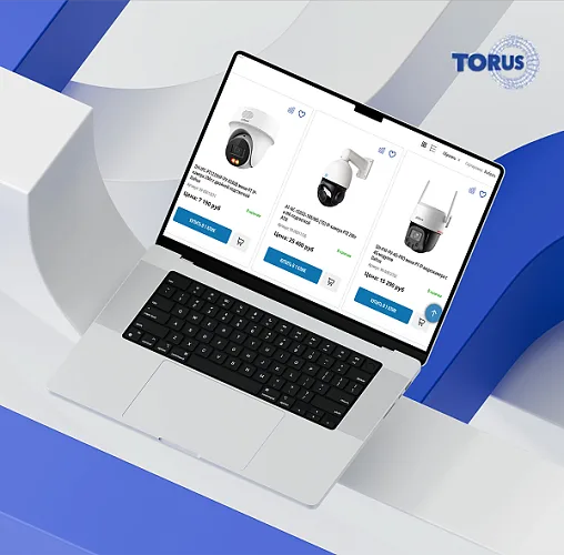 Техническая поддержка сайта tdtorus.ru